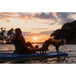 a photo of a woman and her dog enjoying a sunset on the water in the Pelican Getaway 110 HDII Pedal Kayak