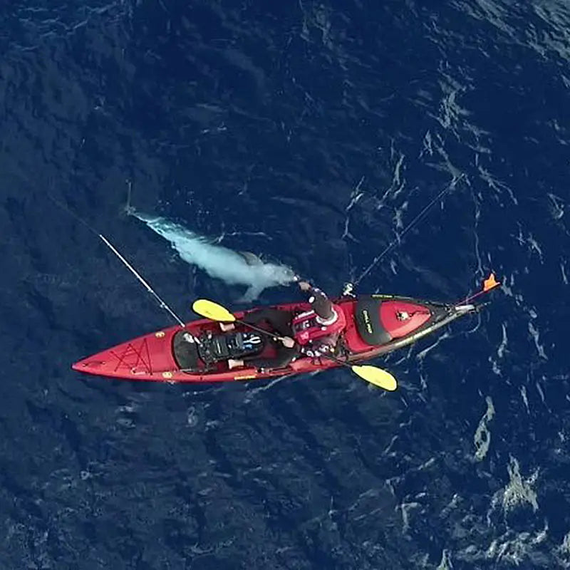 Above image of Viking Profish Reload  Offshore Fishing Kayak in the ocean